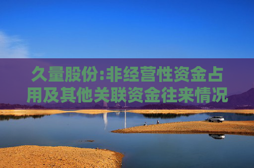 久量股份:非经营性资金占用及其他关联资金往来情况汇总表的专项审核报告