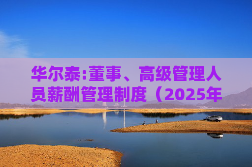 华尔泰:董事、高级管理人员薪酬管理制度(2025年11月)