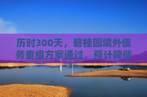 历时300天,碧桂园境外债务重组方案通过,预计降债840亿元