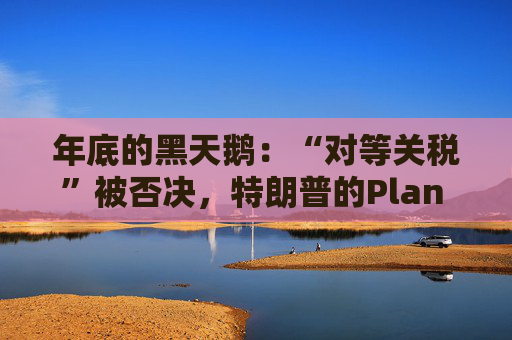 年底的黑天鹅:“对等关税”被否决,特朗普的Plan B引发市场新动荡?