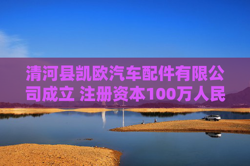 清河县凯欧汽车配件有限公司成立 注册资本100万人民币