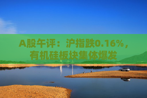 A股午评：沪指跌0.16%，有机硅板块集体爆发