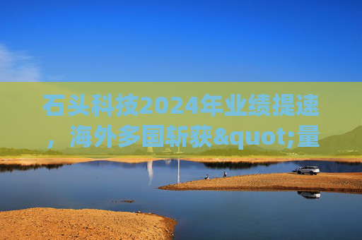 石头科技2024年业绩提速，海外多国斩获"量额"双料第一