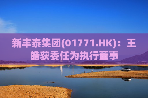 新丰泰集团(01771.HK)：王皓获委任为执行董事