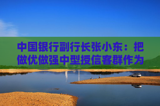 中国银行副行长张小东：把做优做强中型授信客群作为转型发展的重中之重