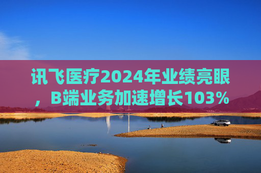 讯飞医疗2024年业绩亮眼，B端业务加速增长103%  第1张