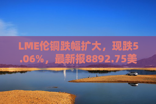 LME伦铜跌幅扩大，现跌5.06%，最新报8892.75美元/吨  第1张