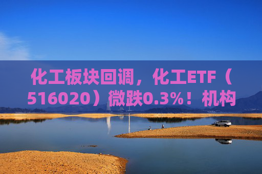 化工板块回调，化工ETF（516020）微跌0.3%！机构：关注高端材料及国产替代机遇