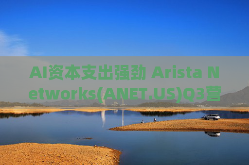 AI资本支出强劲 Arista Networks(ANET.US)Q3营收利润双双超预期