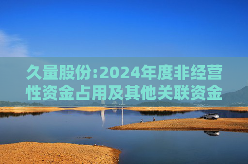 久量股份:2024年度非经营性资金占用及其他关联资金往来情况汇总表  第1张