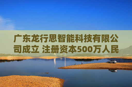 广东龙行思智能科技有限公司成立 注册资本500万人民币  第1张