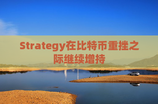 Strategy在比特币重挫之际继续增持