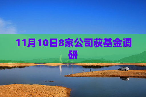 11月10日8家公司获基金调研
