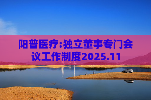 阳普医疗:独立董事专门会议工作制度2025.11