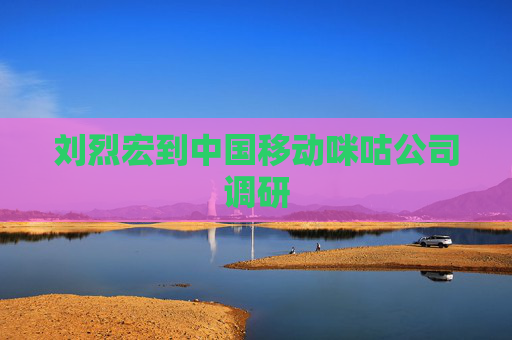 刘烈宏到中国移动咪咕公司调研