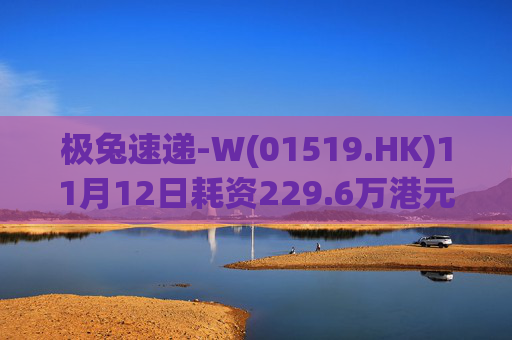 极兔速递-W(01519.HK)11月12日耗资229.6万港元回购23万B股
