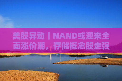 美股异动丨NAND或迎来全面涨价潮，存储概念股走强