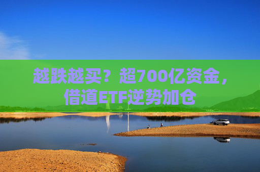 越跌越买？超700亿资金，借道ETF逆势加仓