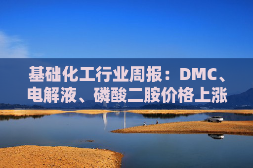 基础化工行业周报:DMC、电解液、磷酸二胺价格上涨 关注反内卷和铬盐