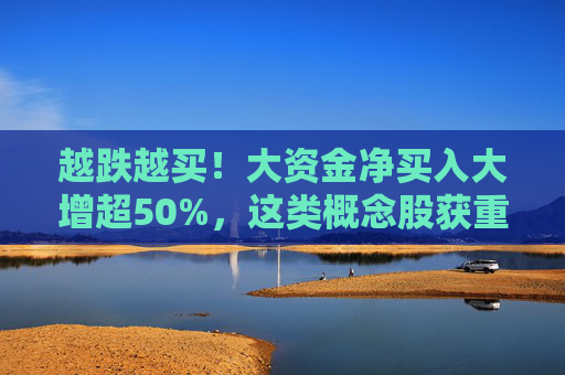 越跌越买！大资金净买入大增超50%，这类概念股获重点关注