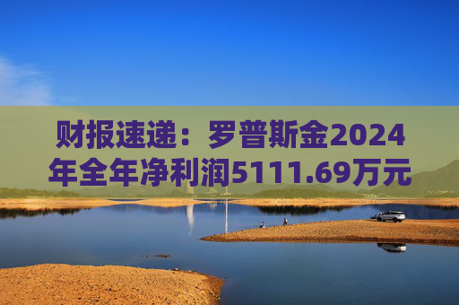 财报速递：罗普斯金2024年全年净利润5111.69万元  第1张