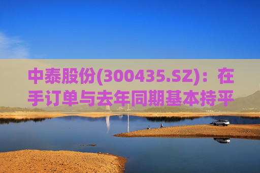 中泰股份(300435.SZ)：在手订单与去年同期基本持平，海外订单占比超过三成  第1张