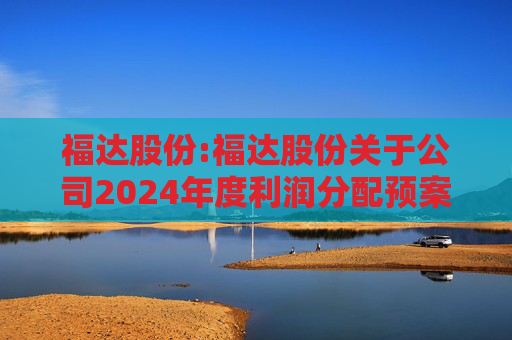 福达股份:福达股份关于公司2024年度利润分配预案的公告
