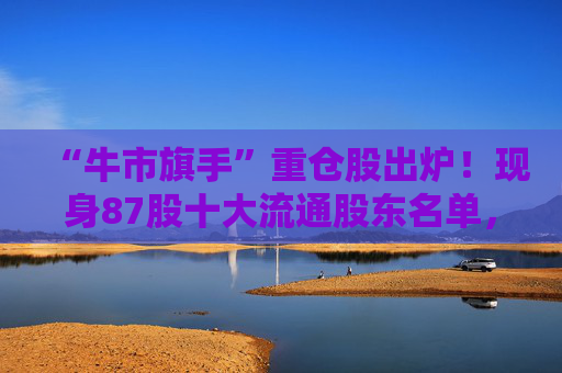 “牛市旗手”重仓股出炉！现身87股十大流通股东名单，新进46股