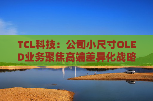 TCL科技:公司小尺寸OLED业务聚焦高端差异化战略