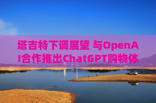 塔吉特下调展望 与OpenAI合作推出ChatGPT购物体验