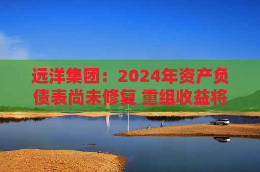 远洋集团：2024年资产负债表尚未修复 重组收益将于2025年释放  第1张