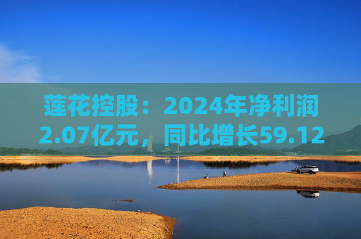 莲花控股：2024年净利润2.07亿元，同比增长59.12%