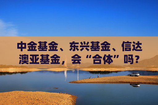 中金基金、东兴基金、信达澳亚基金,会“合体”吗?
