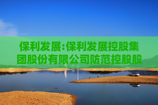 保利发展:保利发展控股集团股份有限公司防范控股股东及关联方资金占用管理办法(2025年11月修订)