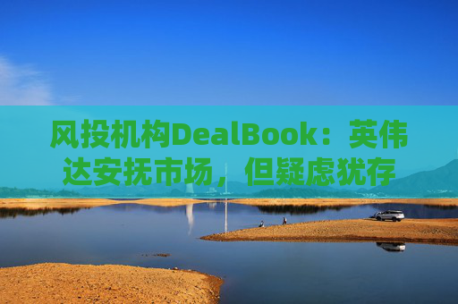 风投机构DealBook：英伟达安抚市场，但疑虑犹存