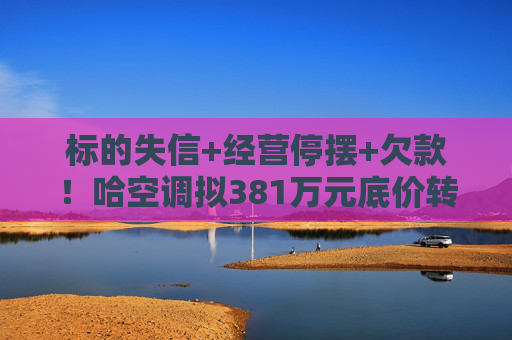 标的失信+经营停摆+欠款！哈空调拟381万元底价转让富山川40%股权