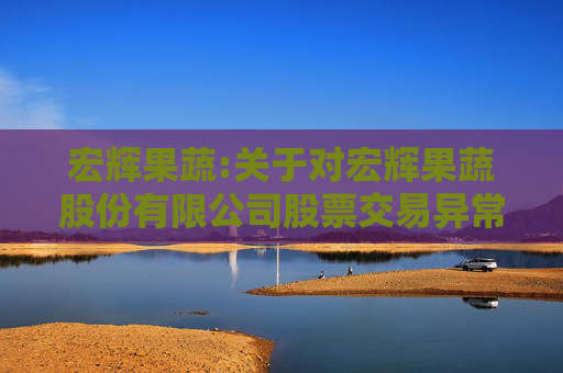 宏辉果蔬:关于对宏辉果蔬股份有限公司股票交易异常波动问询函的回复