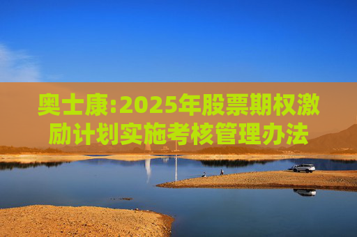 奥士康:2025年股票期权激励计划实施考核管理办法