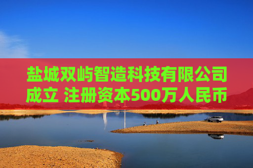盐城双屿智造科技有限公司成立 注册资本500万人民币  第1张
