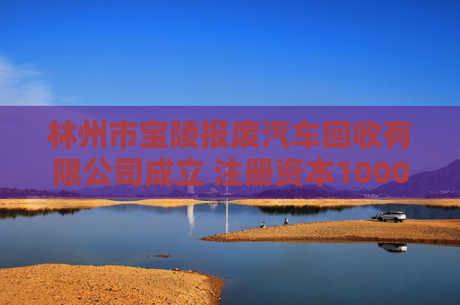 林州市宝陵报废汽车回收有限公司成立 注册资本1000万人民币