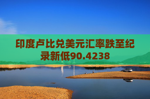 印度卢比兑美元汇率跌至纪录新低90.4238