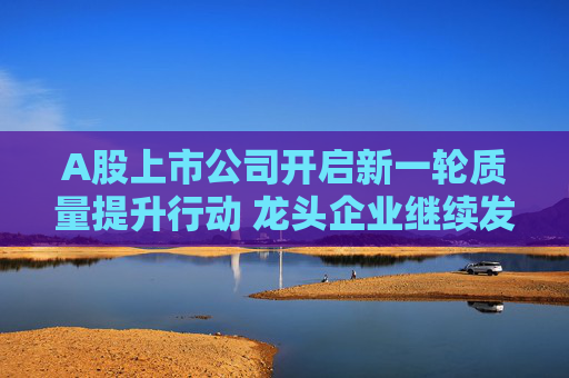 A股上市公司开启新一轮质量提升行动 龙头企业继续发挥“头雁效应”  第1张