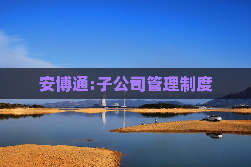 安博通:子公司管理制度