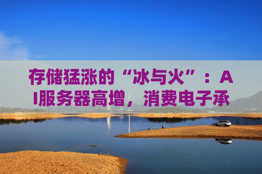 存储猛涨的“冰与火”:AI服务器高增,消费电子承压 第1张 存储猛涨的“冰与火”:AI服务器高增,消费电子承压 第1张