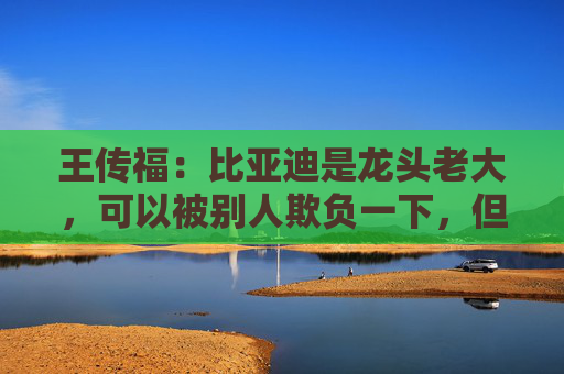 王传福:比亚迪是龙头老大,可以被别人欺负一下,但不能欺负别人