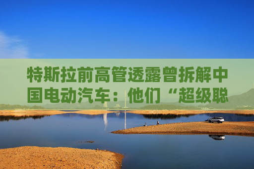特斯拉前高管透露曾拆解中国电动汽车：他们“超级聪明”