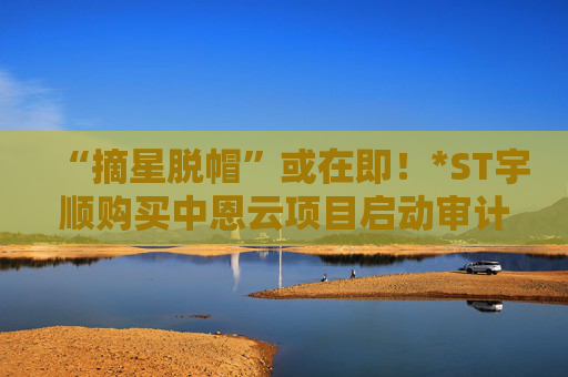 “摘星脱帽”或在即！*ST宇顺购买中恩云项目启动审计流程