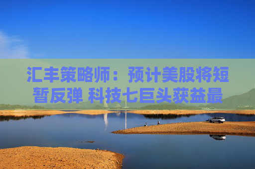 汇丰策略师：预计美股将短暂反弹 科技七巨头获益最多