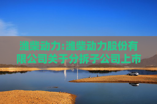潍柴动力:潍柴动力股份有限公司关于分拆子公司上市的一般风险提示性公告