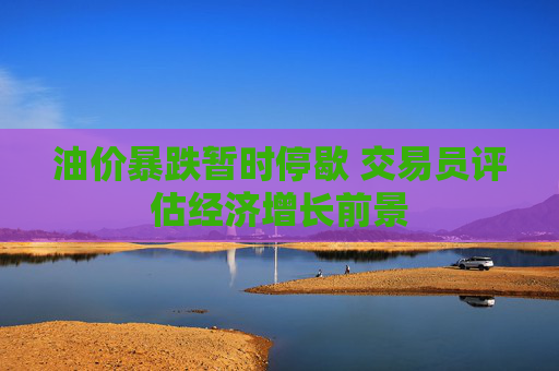油价暴跌暂时停歇 交易员评估经济增长前景  第1张